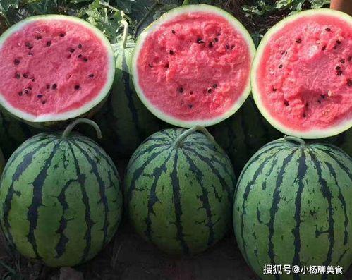 娱乐吃瓜酱半生不熟,娱乐吃瓜酱的娱乐圈秘闻录