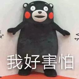 吃瓜娱乐听我说,揭秘娱乐圈幕后故事