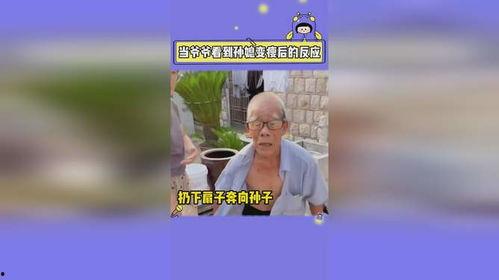 娱乐搞笑新闻吃瓜君,搞笑新闻盘点