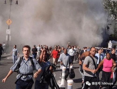 911娱乐吃瓜,一场娱乐圈的“吃瓜”盛宴