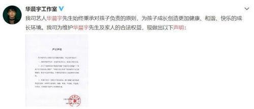 娱乐圈心声吃瓜系统,吃瓜群众背后的真实故事