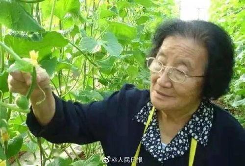 娱乐吃瓜酱择偶不看脸,心灵契合才是真——娱乐吃瓜酱择偶新标准